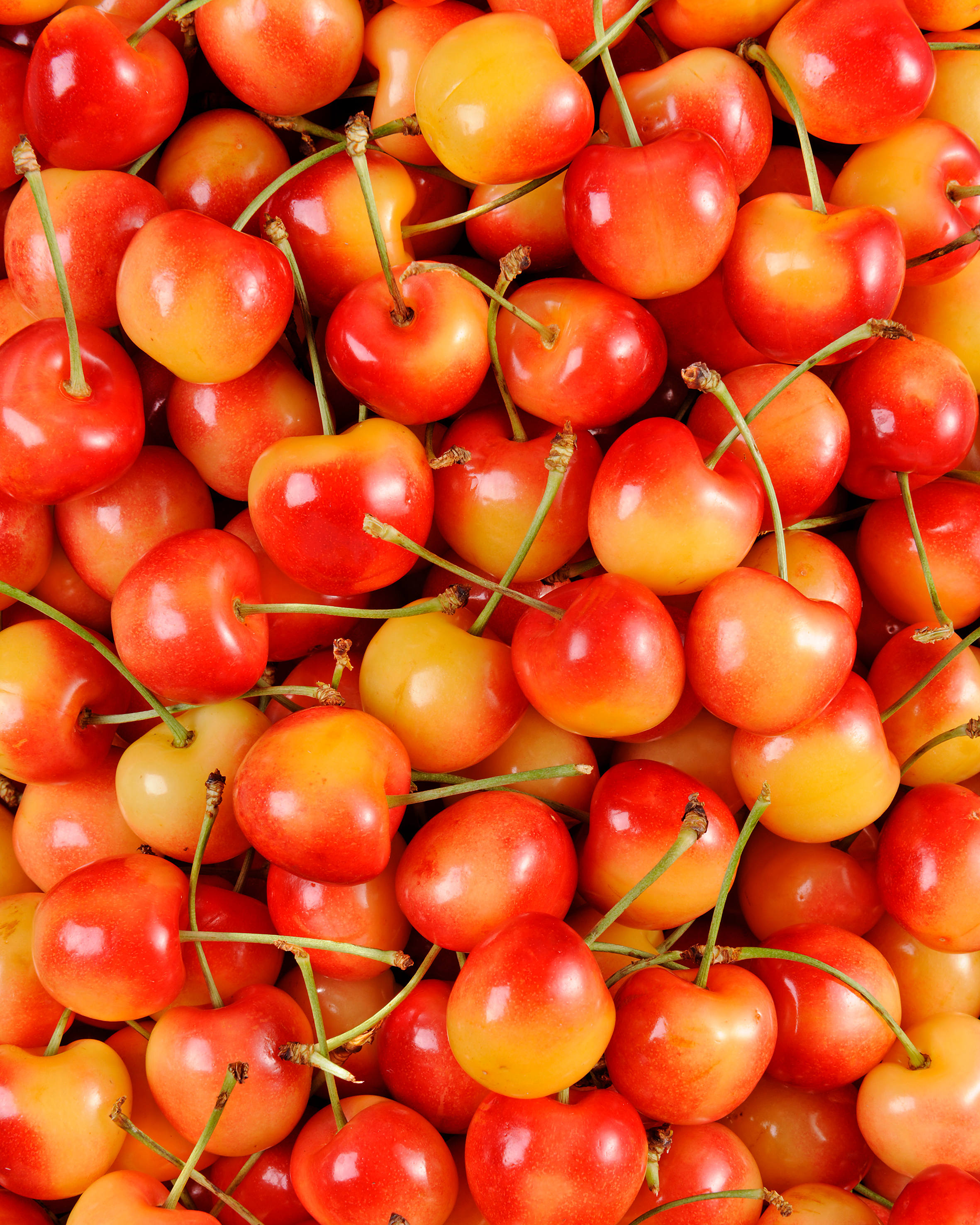 La Cerise sélection gros calibre - mon-marché.fr