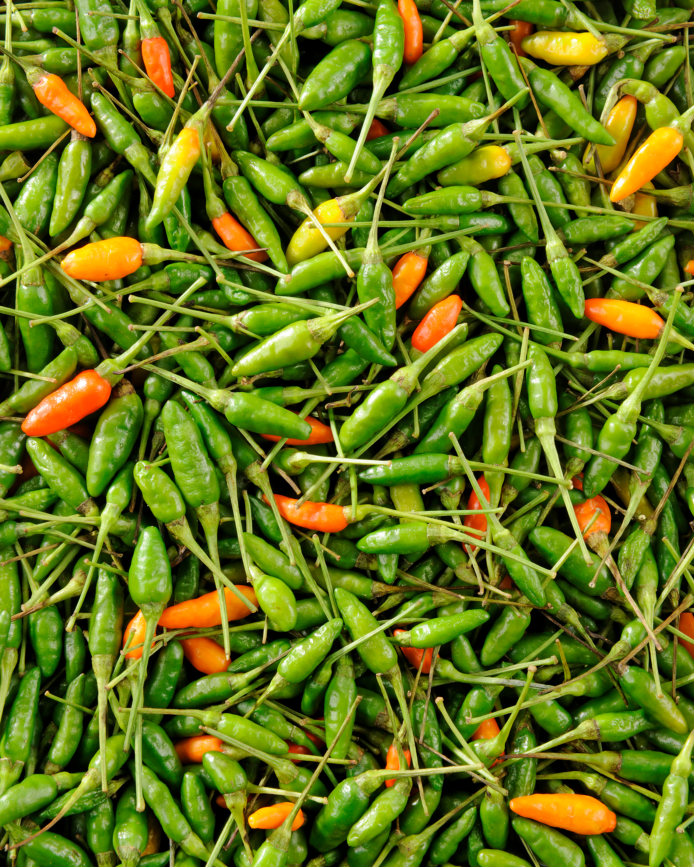 Piment oiseau rouge, Piments, Piment fort, Madagascar