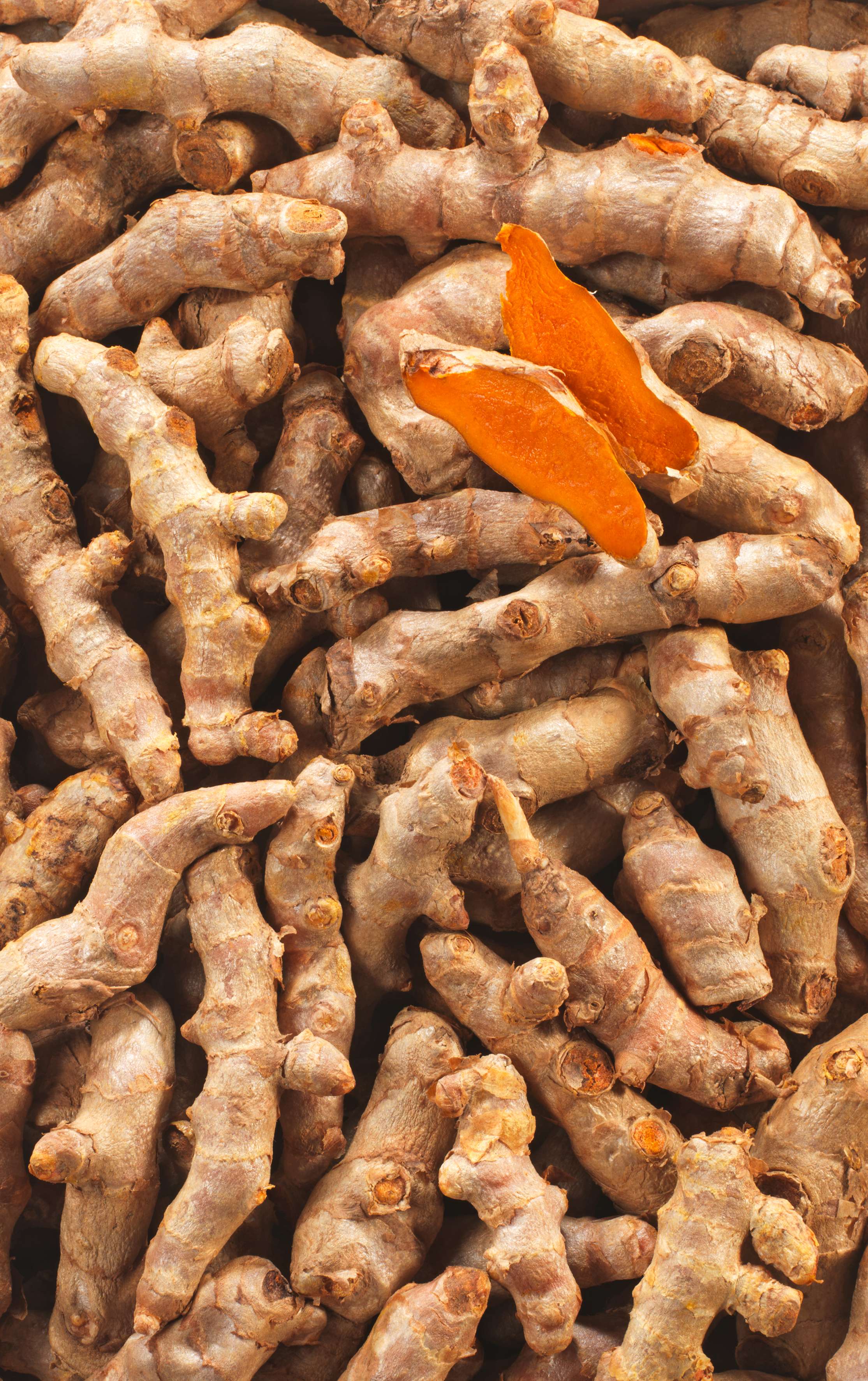 CURCUMA FRAIS BIO 100G