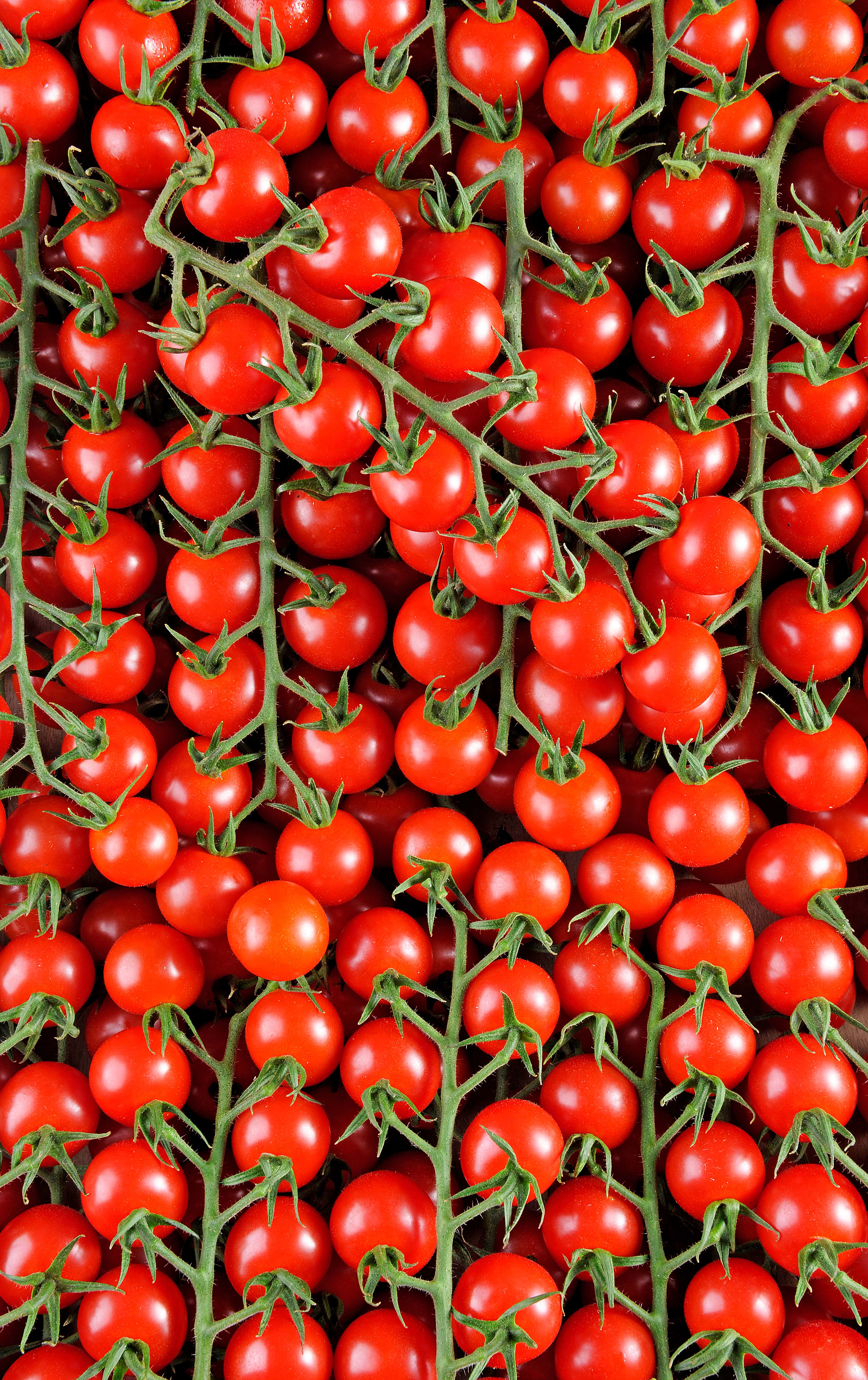 La Tomate cerise rouge grappe HVE du Jardin de … - mon-marché.fr