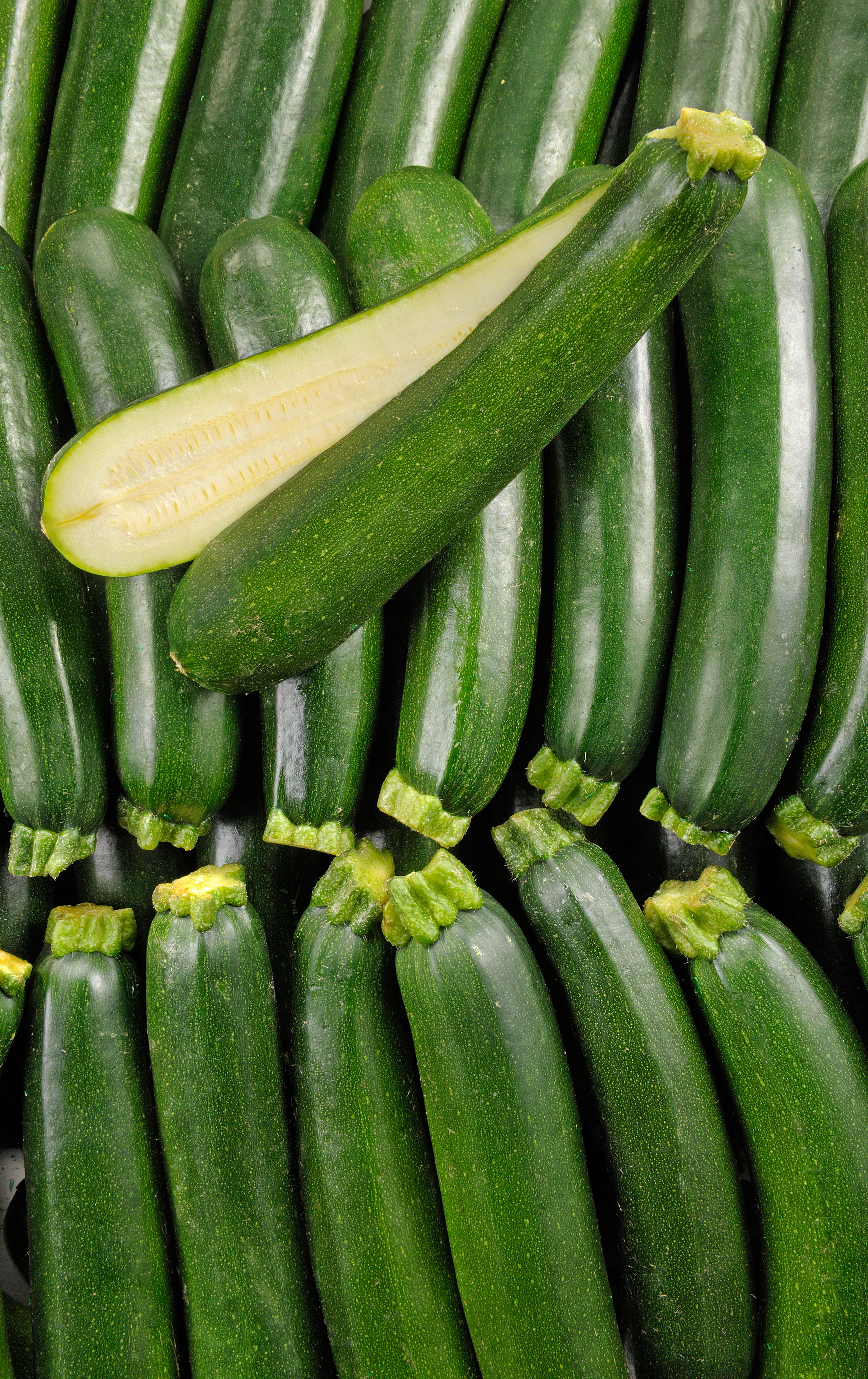 La Courgette en filet de 1kg