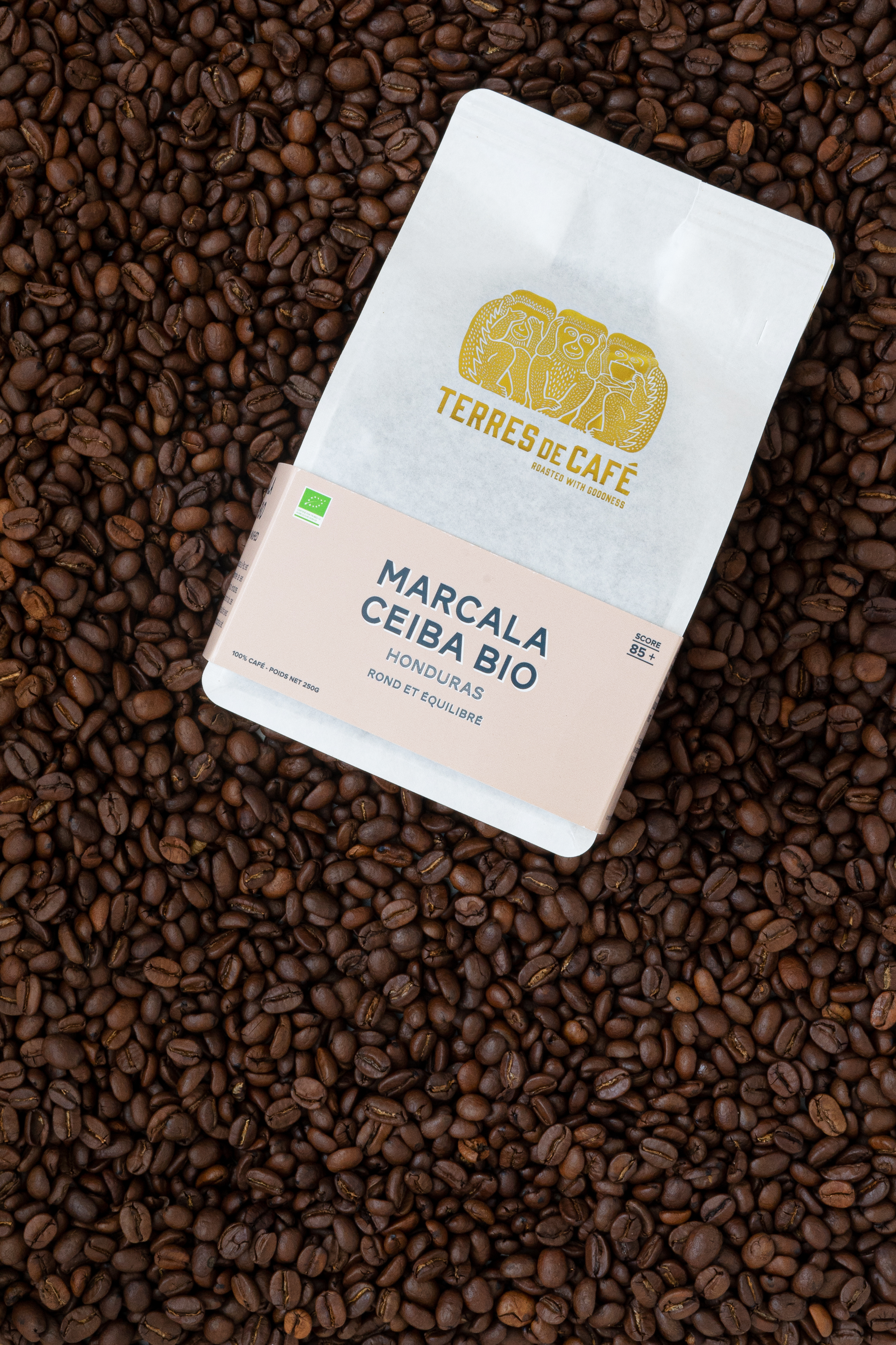 Honduras Marcala bio coffee - TERRES DE CAFE