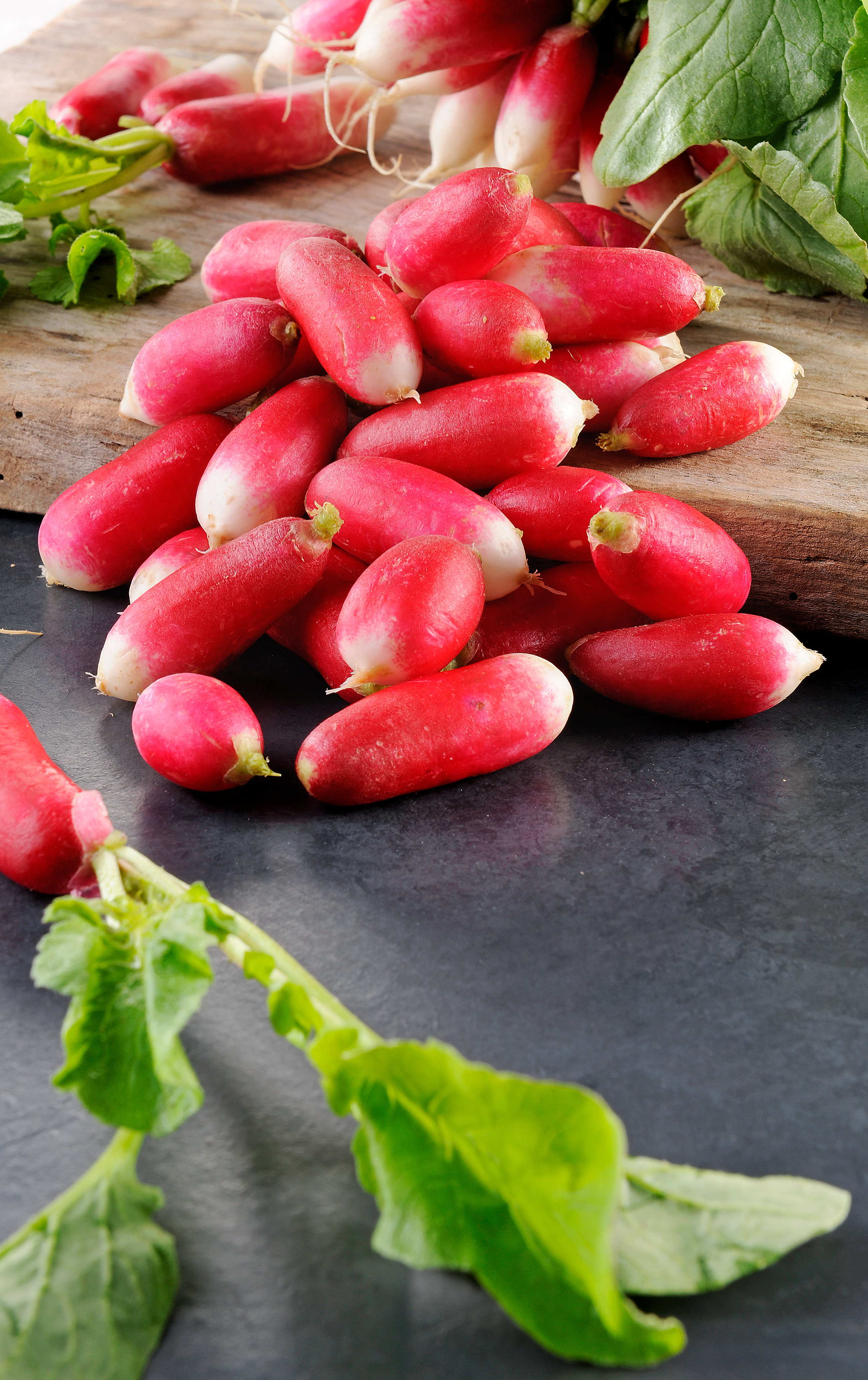 Radis rose (légumes)