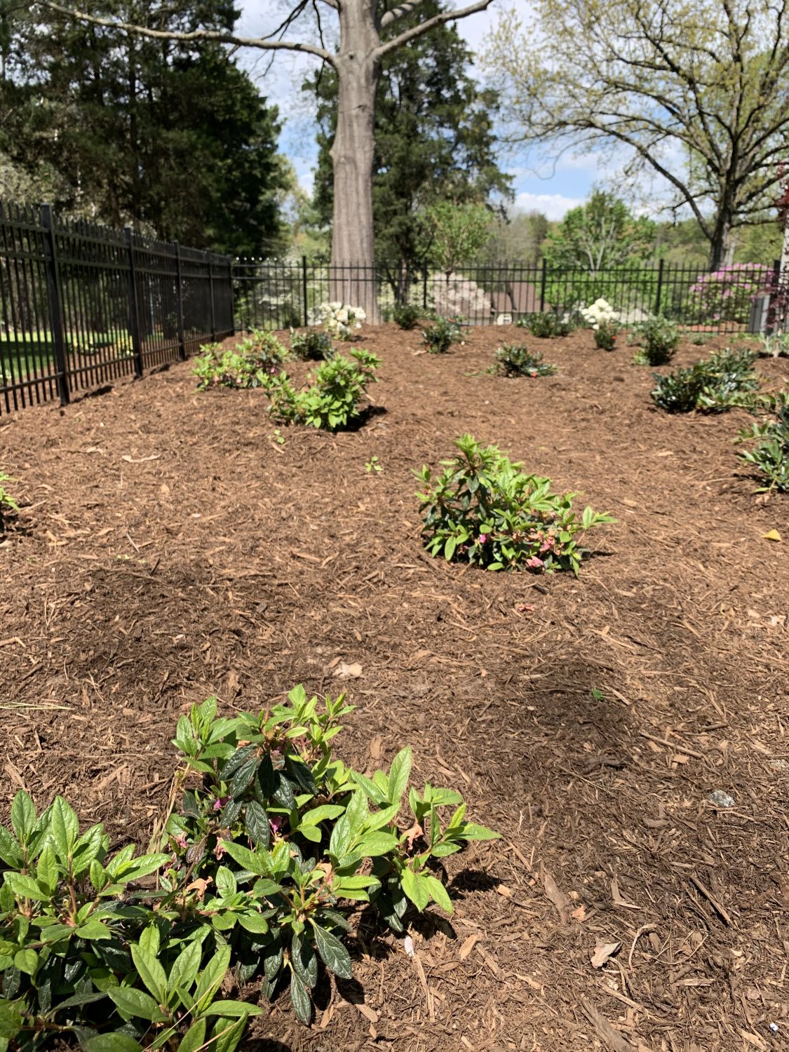 Project Gallery Kerns Landscaping