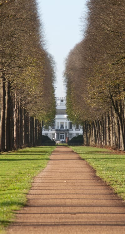 Landelijke laan in Soest