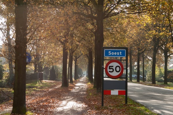 Landelijke laan in Soest