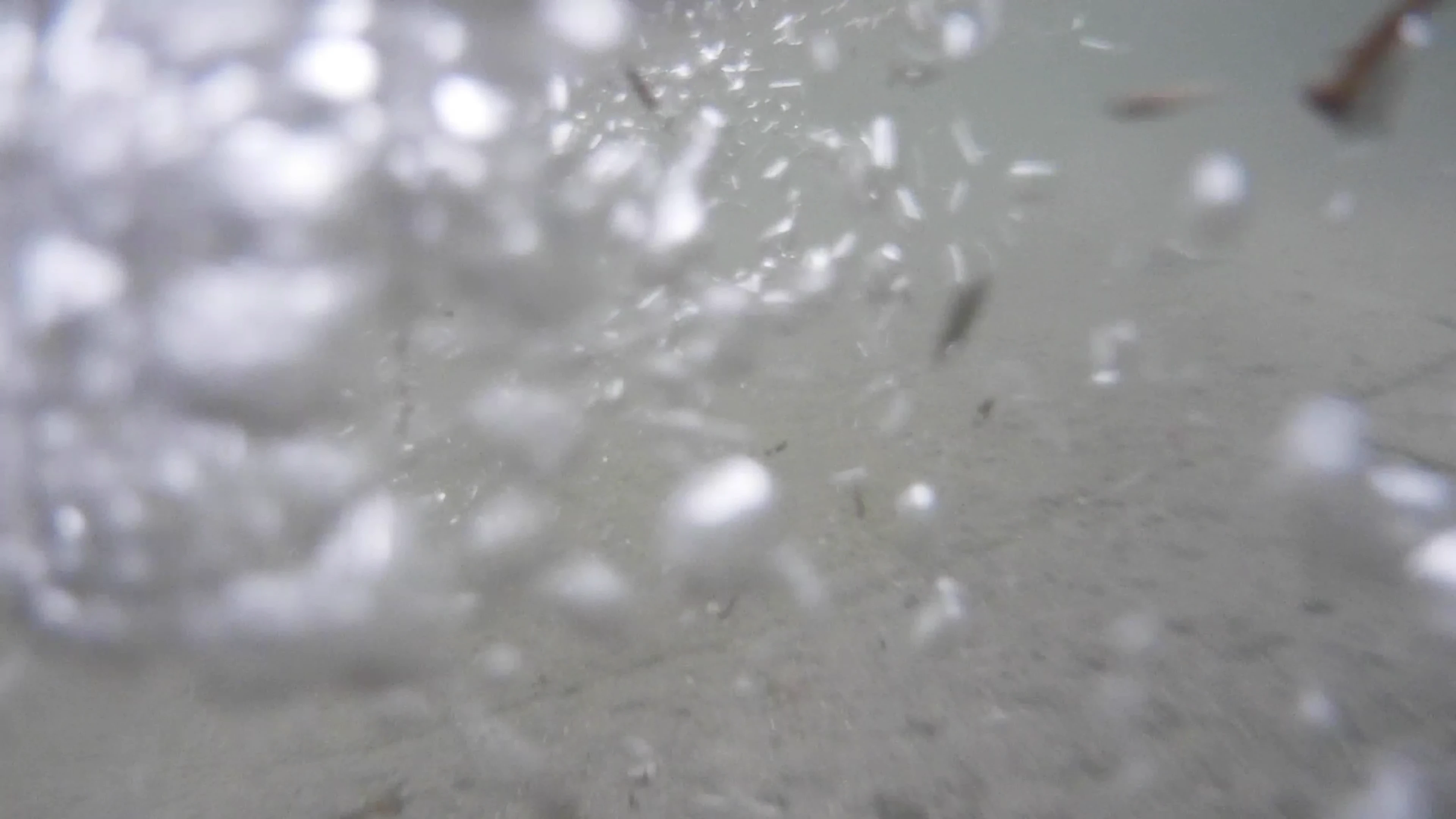 Dimensions variable