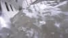 blurred placeholder