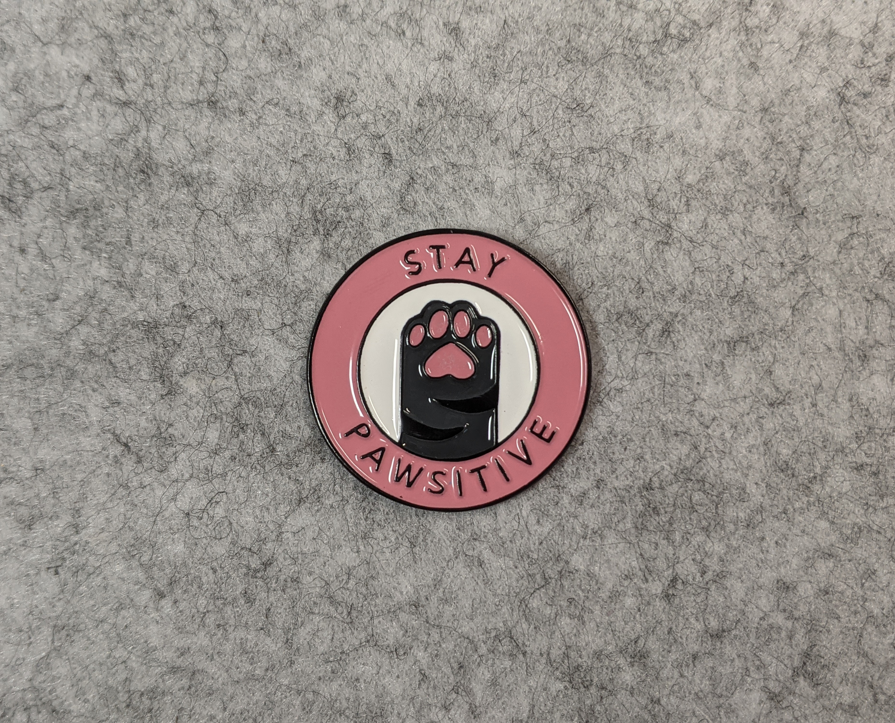 Preview of Stay Pawsitive!