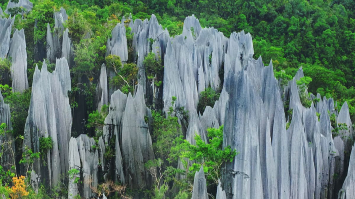 Mulu National Park Expedition With Tripfez