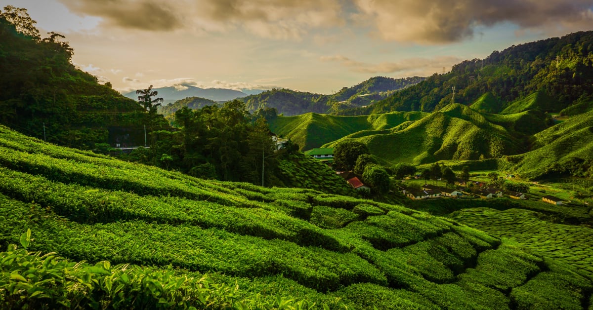 waktu solat cameron highland