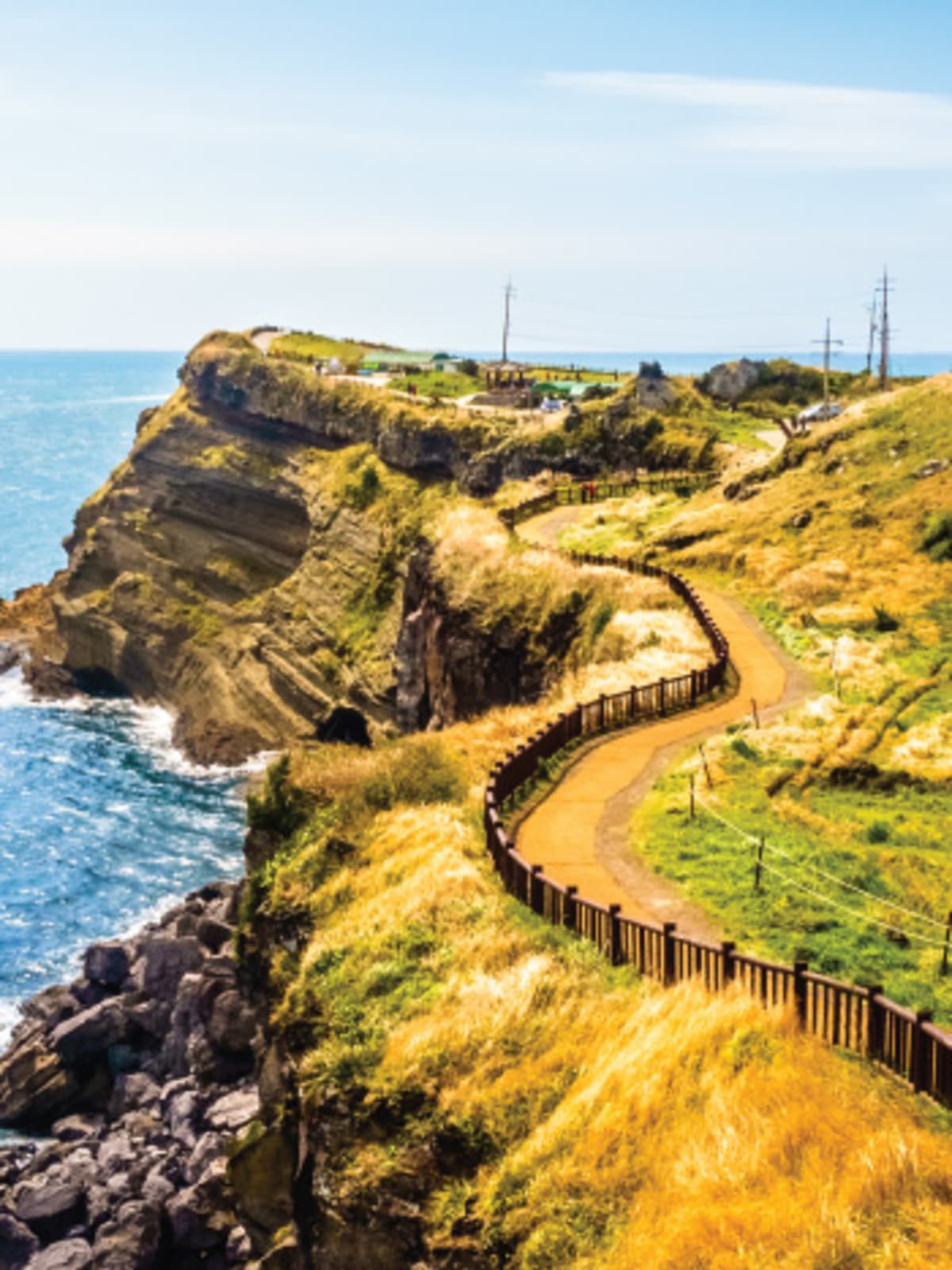 South Korea Tour Packages Holidays 2021 2022 Tripfez Travel