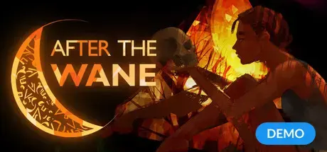 Image for After the Wane