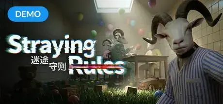 Image for Straying Rules