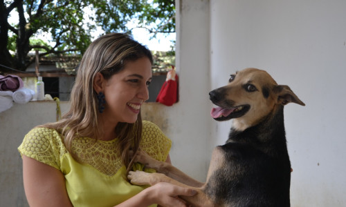 Leia nosso post - Aprovado projeto de Larissa Gaspar que prevê doação de alimentos para animais em situação de rua