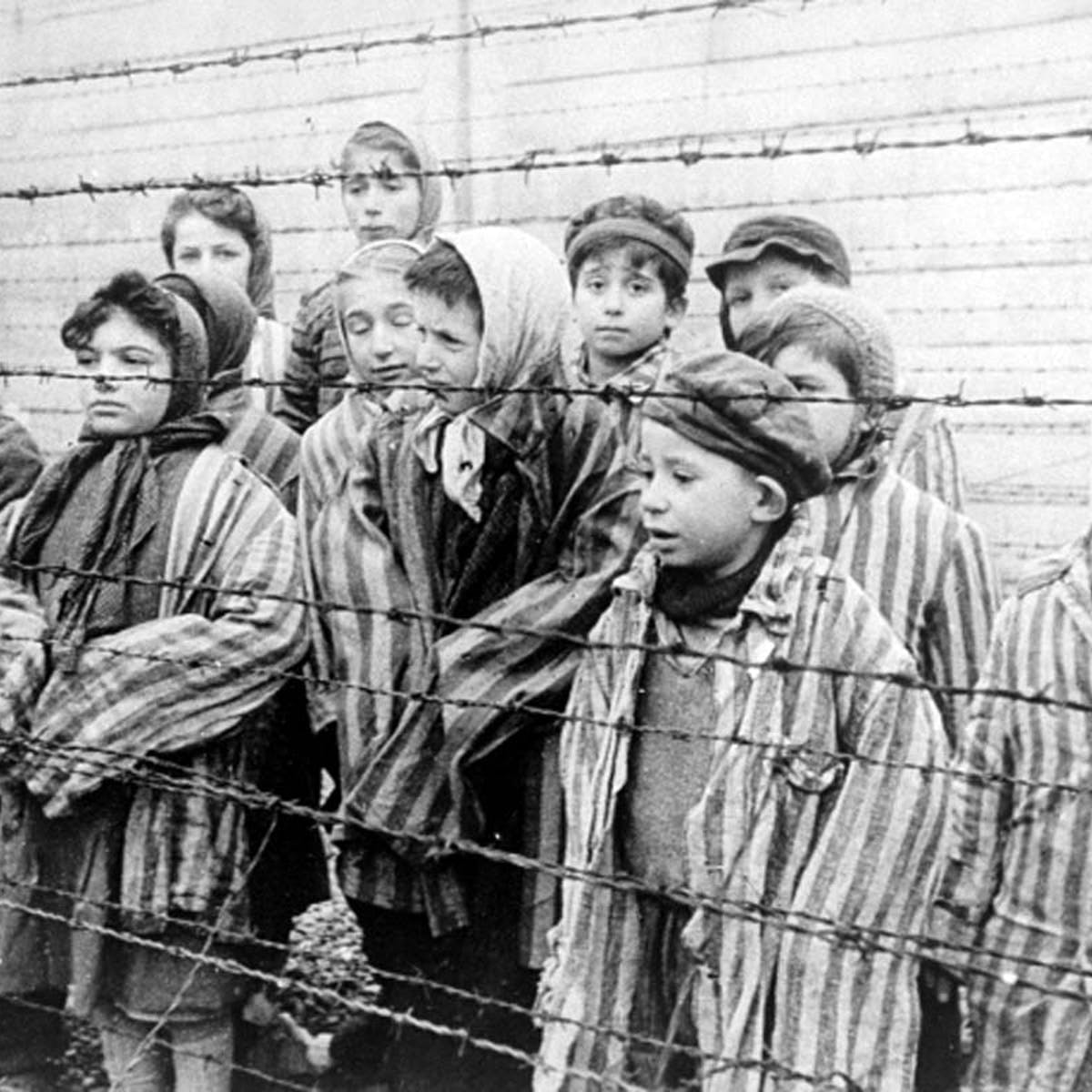 Дети войны Освенцим 1941