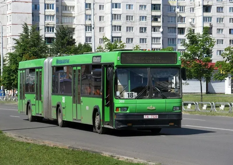 Бобруйский автобусный парк автобусы. Автобусы Бобруйск. Автобус МАЗ 105. Автобусы Бобруйска МАЗ зеленая гармошка. Бобруйск Беларусь общественный транспорт.