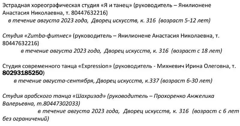 dvorec-iskusstv-priglashaet-v-svoi-kollektivy-tvorcheskikh-bobruichan-6