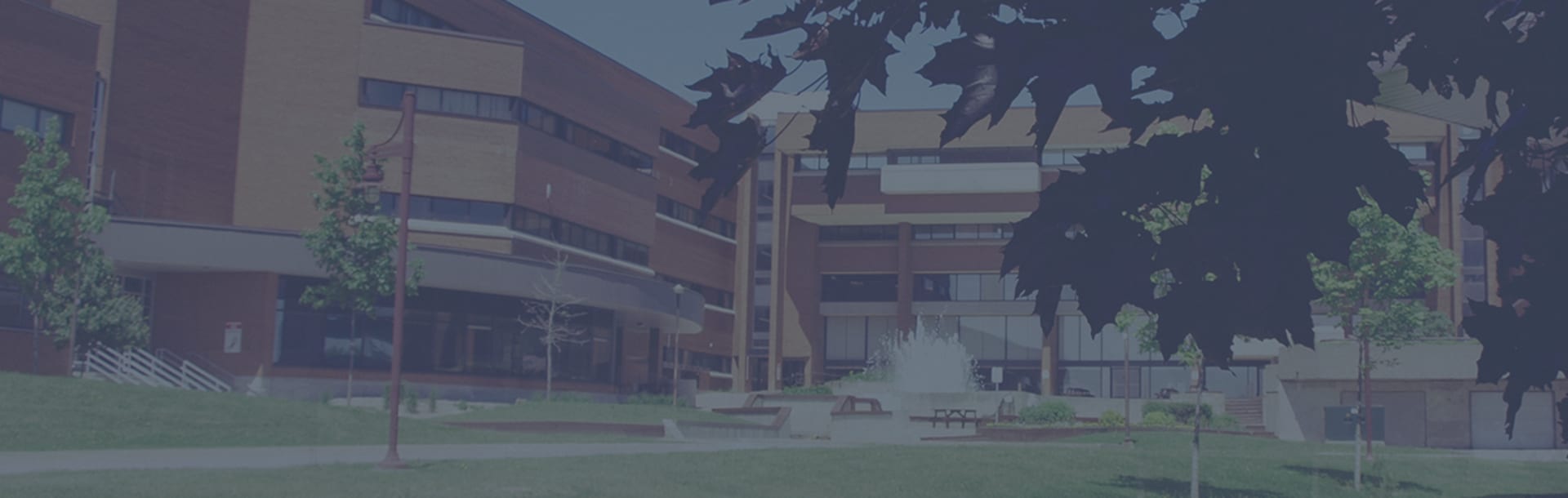 Cambrian College
