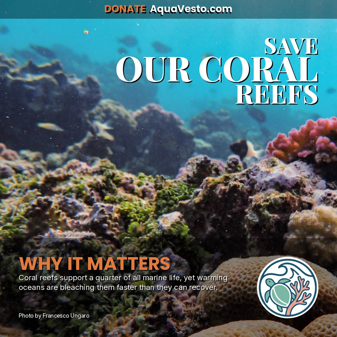 SAVE OUR CORAL REEFS