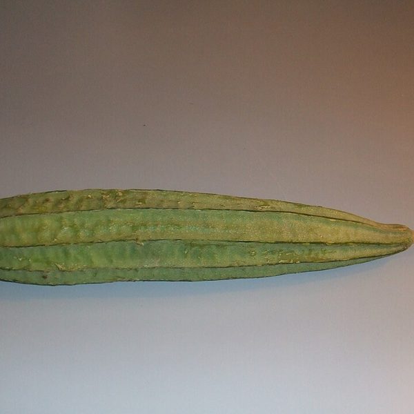 Ridge Gourd