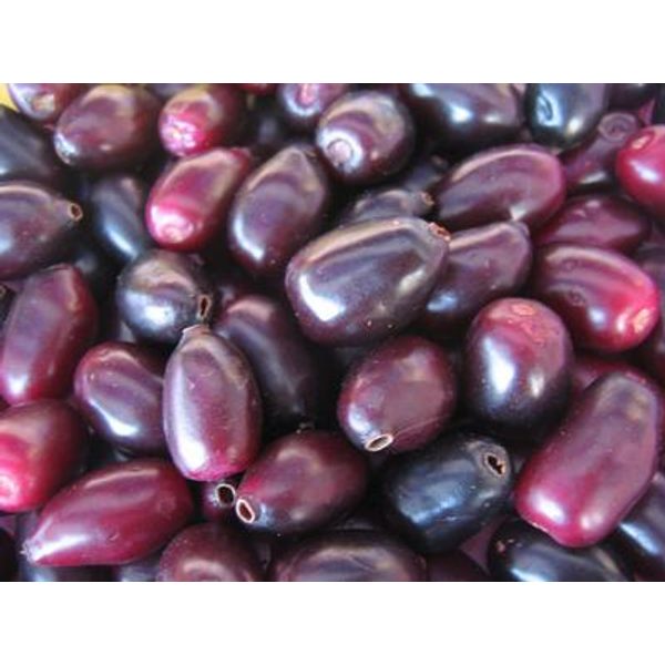 Jamun (Java Plum)