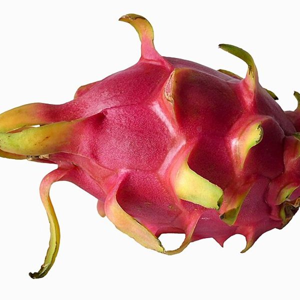 Dragon Fruit