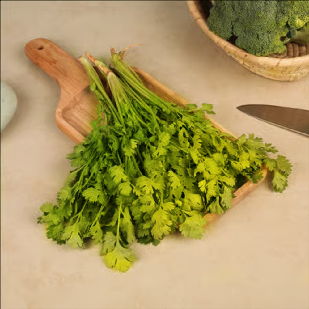 Coriander