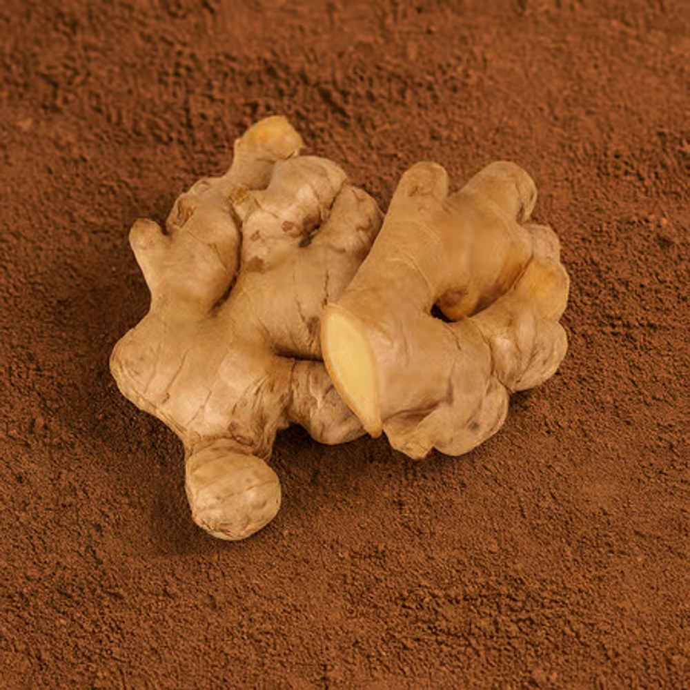 Ginger