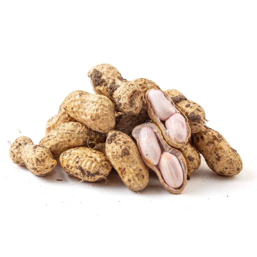 Fresh Groundnuts