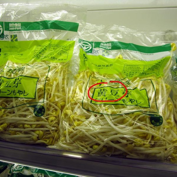 Soybean Sprouts