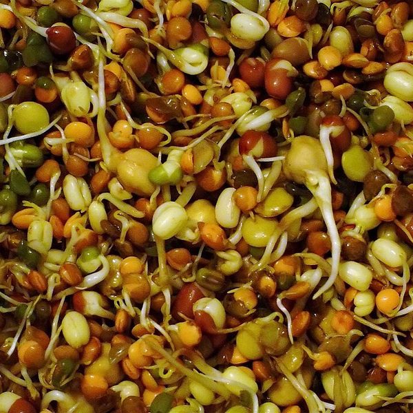 Mixed Dal Sprouts