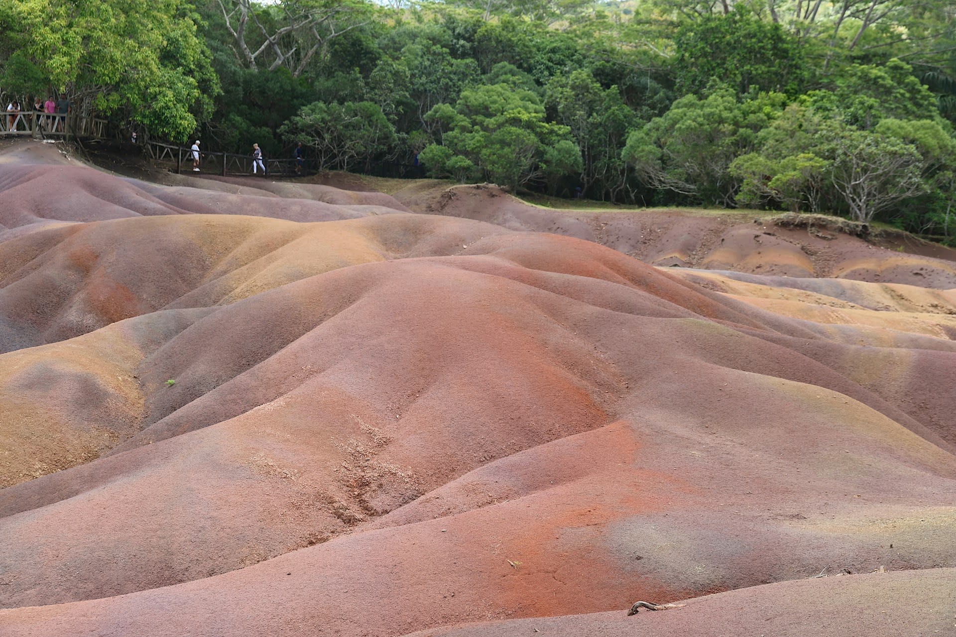 Chamarel
