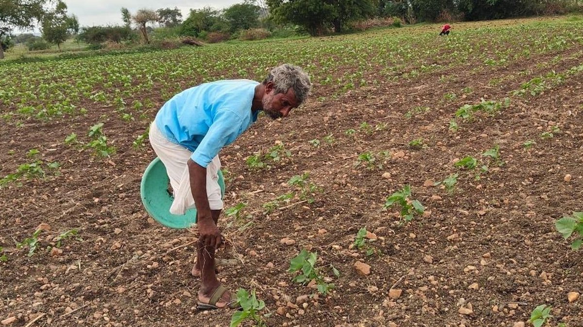 Andhra Pradesh asks farmers to skip paddy - water shortage