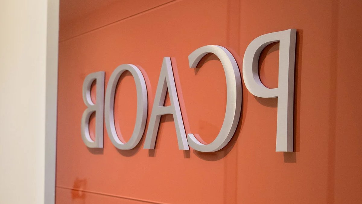 PCAOB Seeks Input on New Strategic Plan - pcaob strategic
