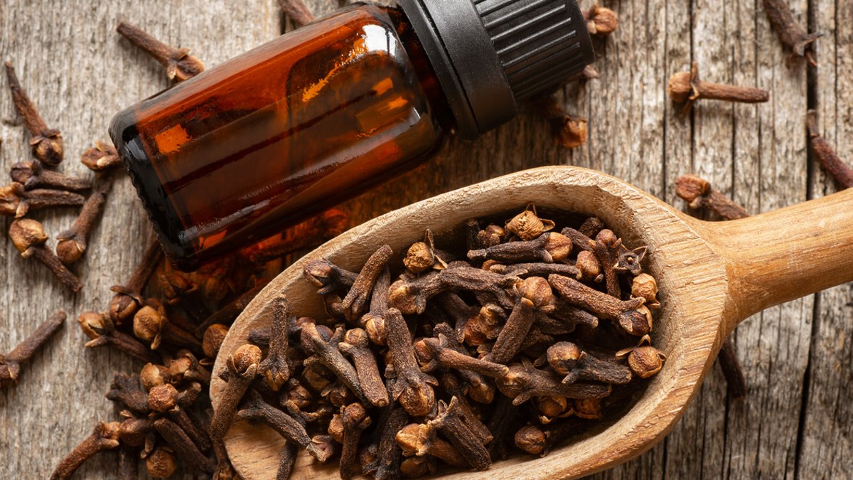Study confirms overlooked tooth pain remedy Study confirms overlooked tooth pain remedy - clove oil