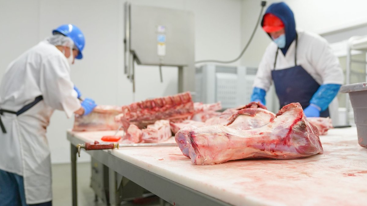 FDA postpones food safety rule to 2026 - food safety rule
