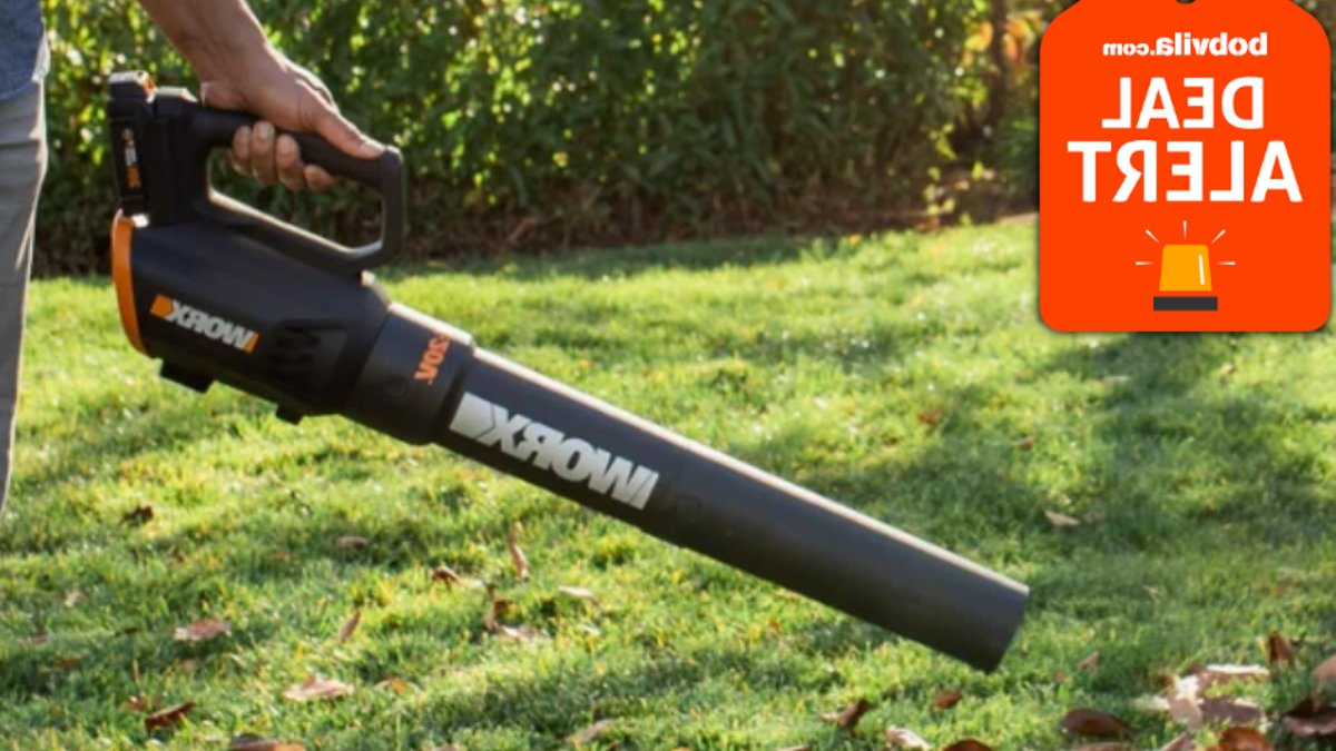 - cordless leaf blowers