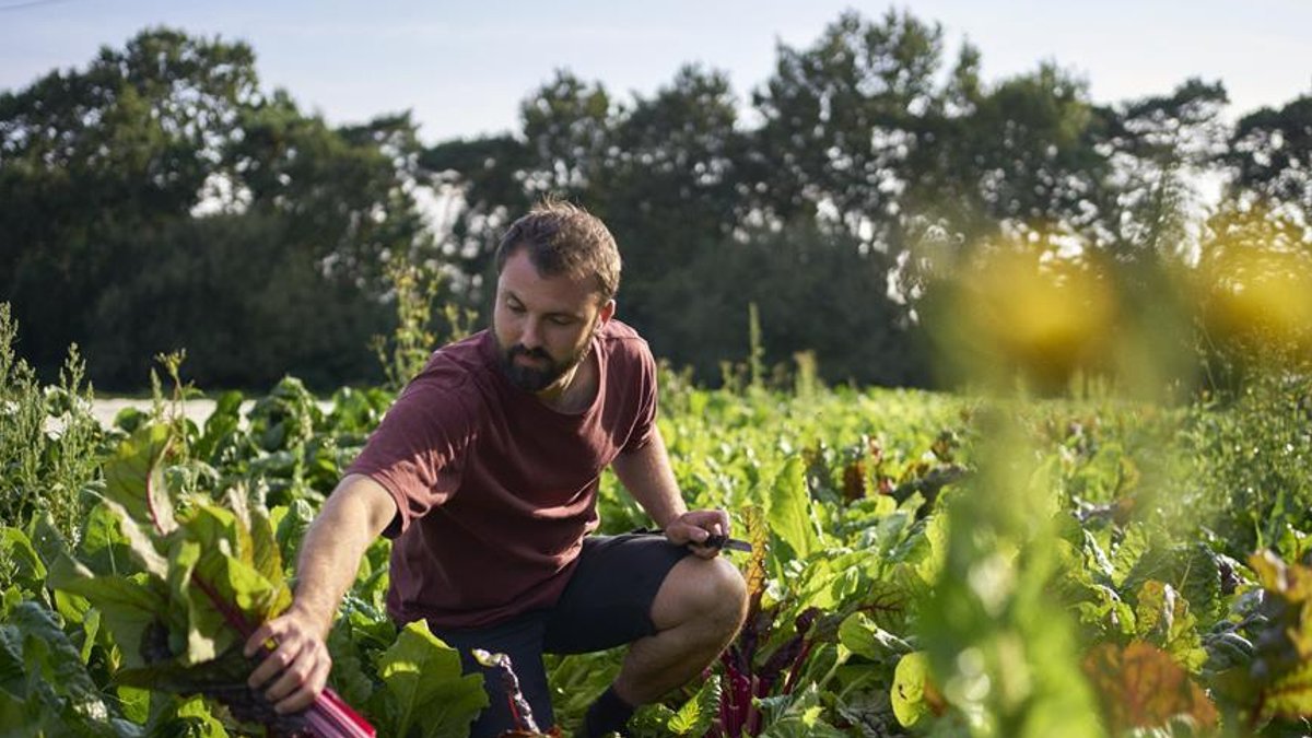 Farmers Clash with Retailers Over Rising Prices - farmers retailers pricing