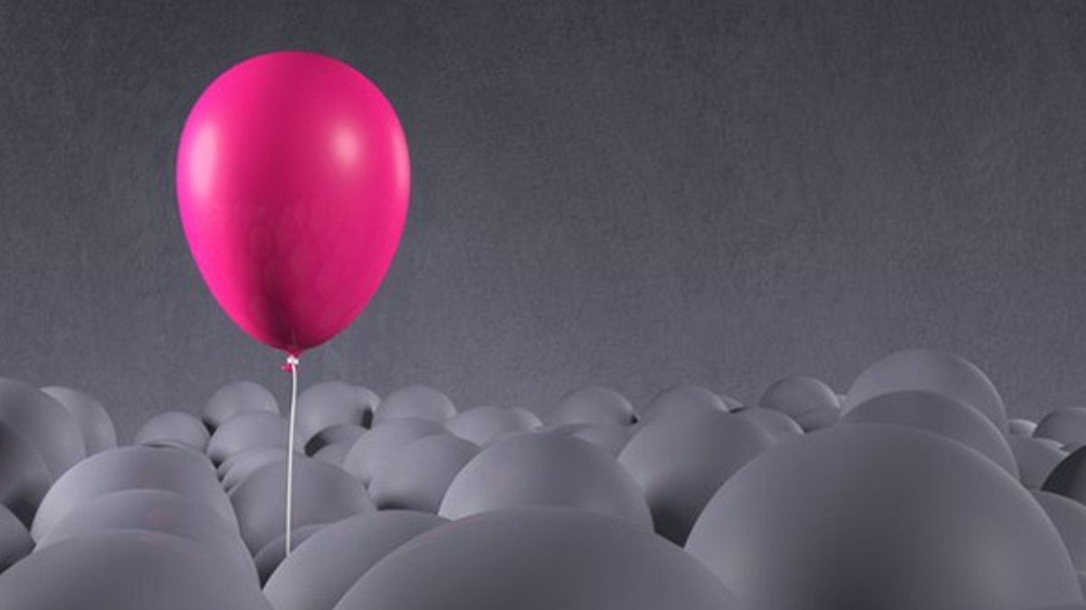 Adviser investment distribution becomes winner takes most - investment distribution