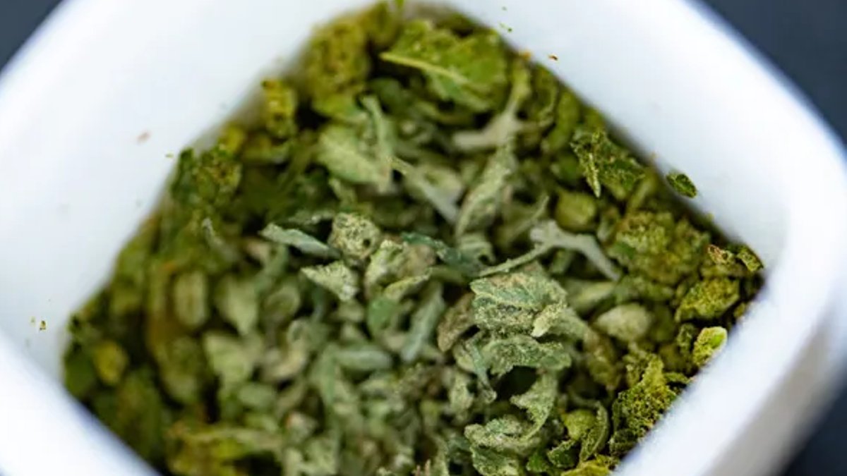 Florida court allows firing for medical marijuana use Florida court allows firing for medical marijuana use - medical marijuana employment