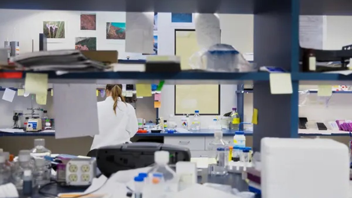 FDA Reconsiders Its Use of Artificial Intelligence - fda ai