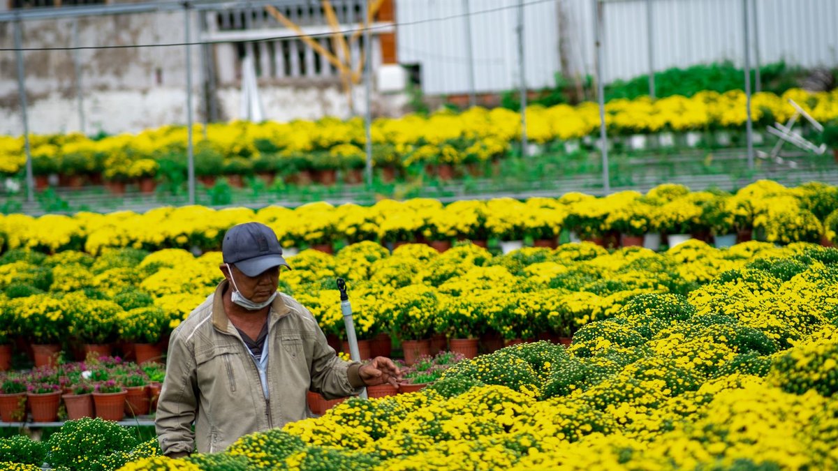 French gardener unites peace and global skill - global gardening