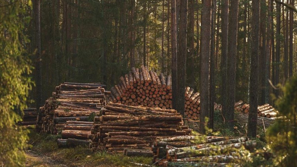 Biodiversity loss poses financial risk to economy Biodiversity loss poses financial risk to economy - biodiversity loss