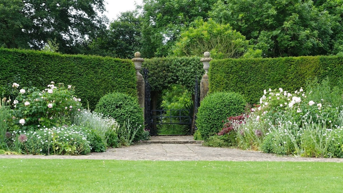 Keeping Lawns Healthy During Record Heatwaves Keeping Lawns Healthy During Record Heatwaves - lawn care