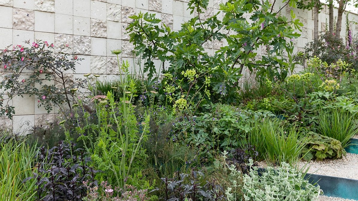 Chelsea Flower Show colour trends revealed - chelsea flower