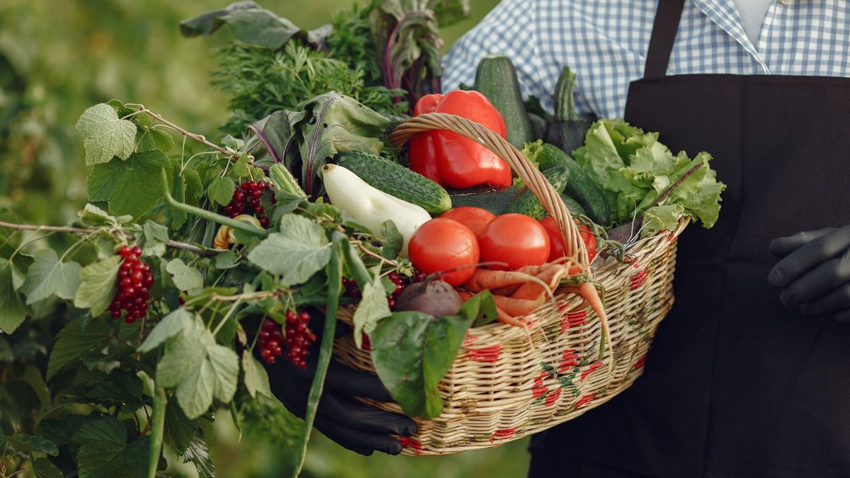Sovereignty Defines Africa’s Food Agenda