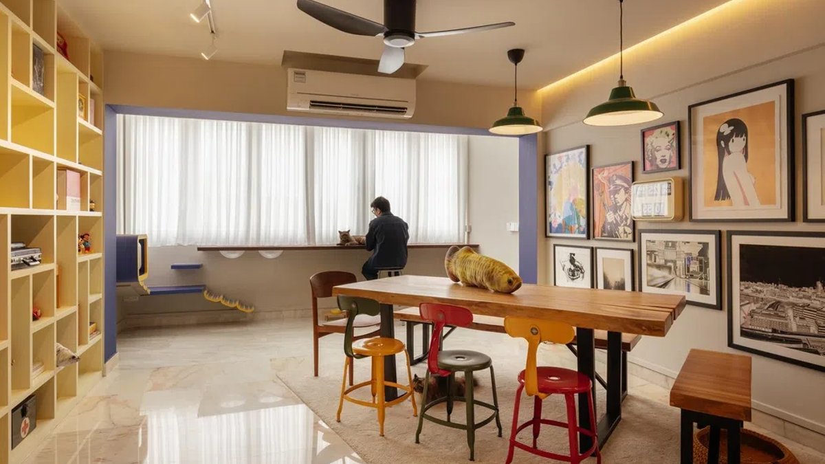 Couple designs HDB flat for their cats Couple designs HDB flat for their cats - cat friendly