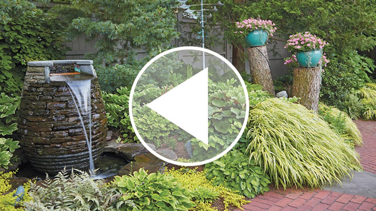 Backyard tour reveals shade garden ideas Backyard tour reveals shade garden ideas - shade garden