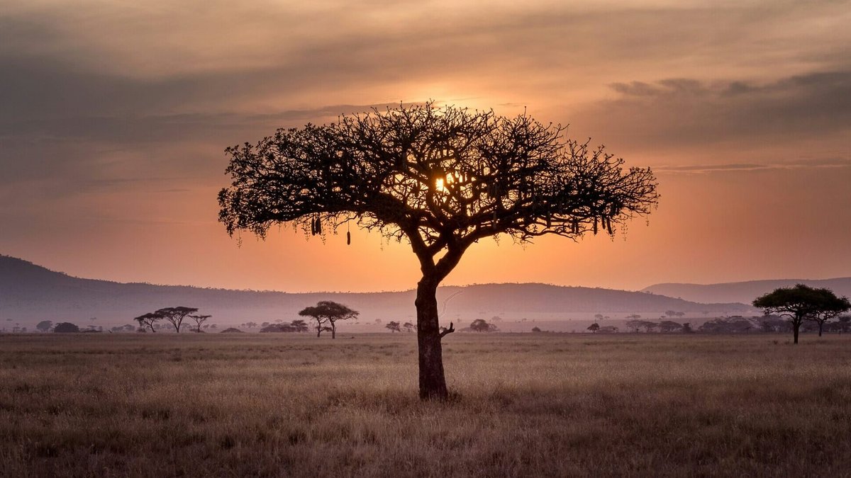 Africa Reaches Investment Turning Point - africa investment